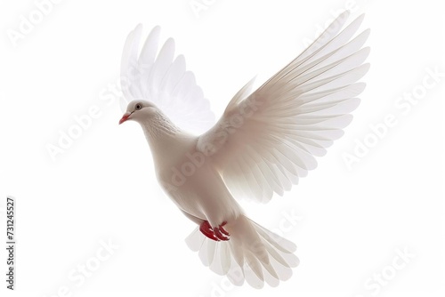 White dove illustration Symbolizing peace and harmony Isolated on a white background for a serene and hopeful visual message