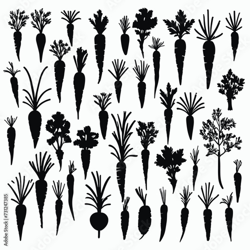 A collection of various carrot silhouettes on a white background, showcasing diverse shapes and leaf patterns.