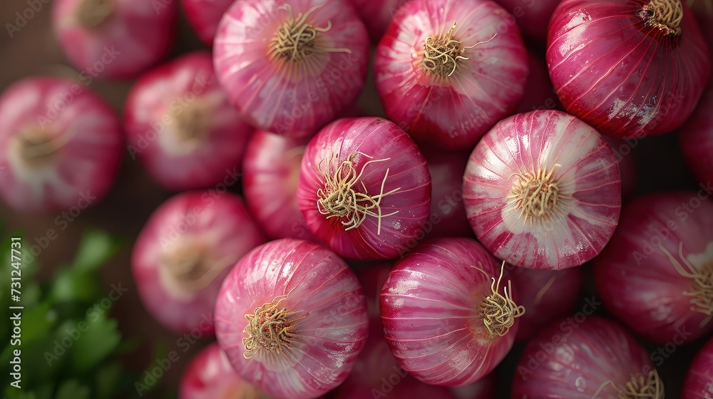 Pile of fresh red onion or shallot. Close up view. Pile of fresh red onion or shallot. Close up view.
