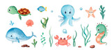 Watercolor illustration with cute underwater animals.Set with turtle,shells,fishes,whale,crab and seahorse