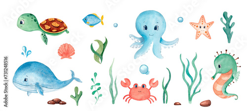 Watercolor illustration with cute underwater animals.Set with turtle,shells,fishes,whale,crab and seahorse photo