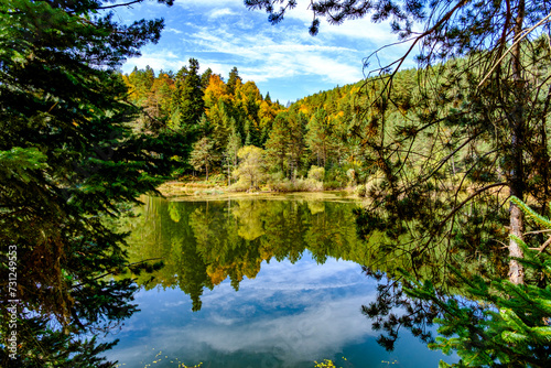 A beautiful panoramic shot of a lake with mountains and trees on the background