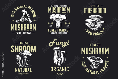 Set of forest mushroom for organic, natural vegetarian food. Collection of autumn fungi, shroom mushroom picking for t-shirt print