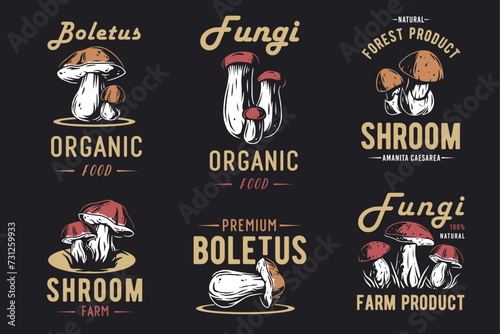 Mushroom boletus set of porcini, king bolete. Vegetarian fungus boletus for food. Nature fungi for healthy nutrition picking