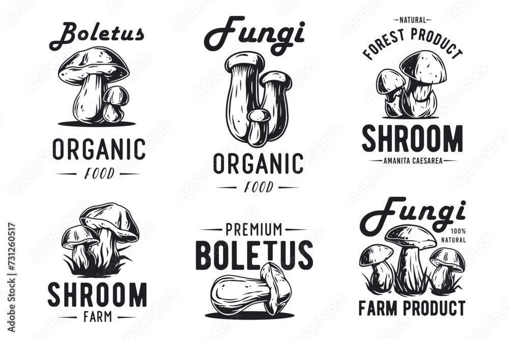 Mushroom boletus set of porcini, king bolete. Vegetarian fungus boletus for food. Nature fungi for healthy nutrition picking Mushroom boletus set of porcini, king bolete. Vegetarian fungus boletus for food. Nature fungi for healthy nutrition picking