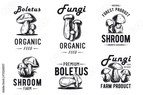 Mushroom boletus set of porcini, king bolete. Vegetarian fungus boletus for food. Nature fungi for healthy nutrition picking