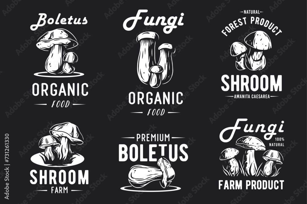 Fototapeta premium Mushroom boletus set of porcini, king bolete. Vegetarian fungus boletus for food. Nature fungi for healthy nutrition picking
