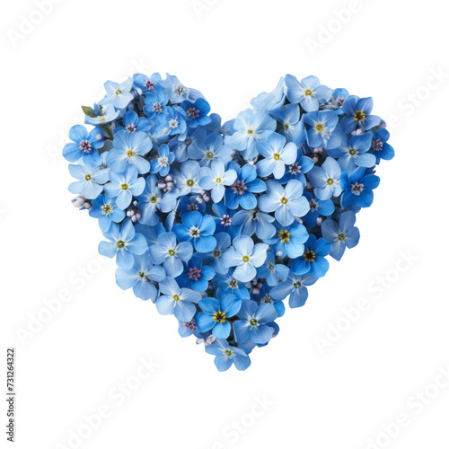 Charming flower .  Forget-Me-Not flower : True love and memories ."Heart shape"