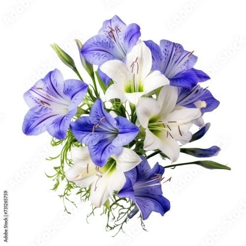 flower lovely.Violet tone. Bellflower: Unwavering love © kanyarat