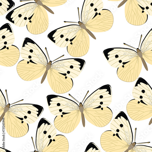 Pieris rapae design seamless pattern