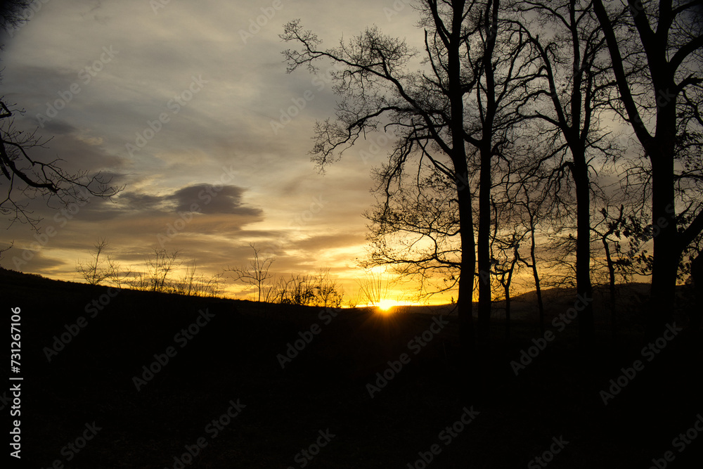 Fototapeta premium Silhouetten von Bäumen und einer Landschaft bei einem beindruckenden Sonnenuntergang