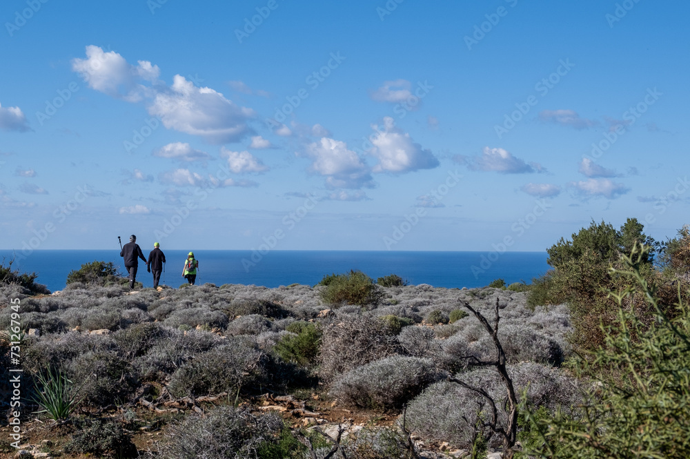 Group of unrecognized people hiking in nature on a trail. Healthy lifestyle walking outdoors