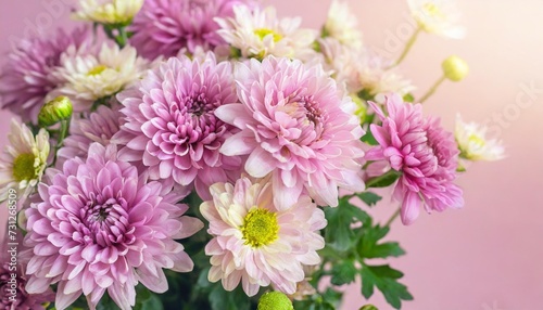 delicate blooming festive asters and chrysanthemums blossoming pink summer flowers bright background bouquet floral card selective focus