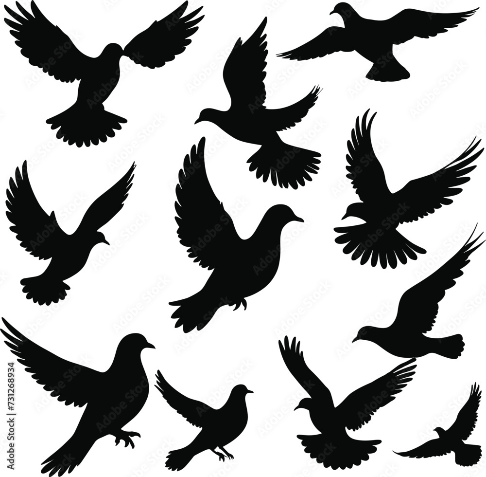 Obraz premium Dove and pigeon birds flying silhouette illustration vector design