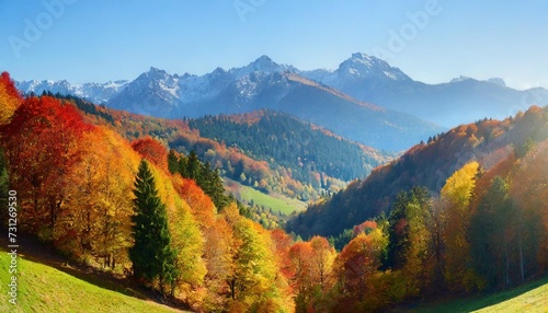 colorful and bright autumn forest mountains panorama