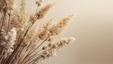 dry flowers plant floral branch on soft beige pastel background blurred selective focus pattern with neutral natural colors