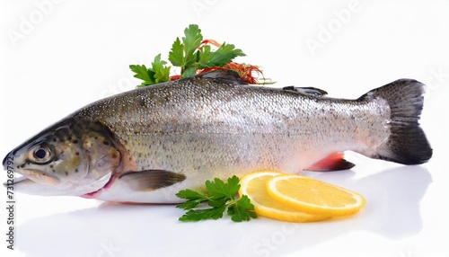 trout fish isolated on white background