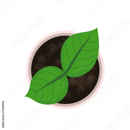Green young plant with two leaves grows in pink pot. Spring seedling in textured soil top view. Vector isolated drawing on a white background. Seedlings, Growing, Agriculture, Gardening.Greens, garden