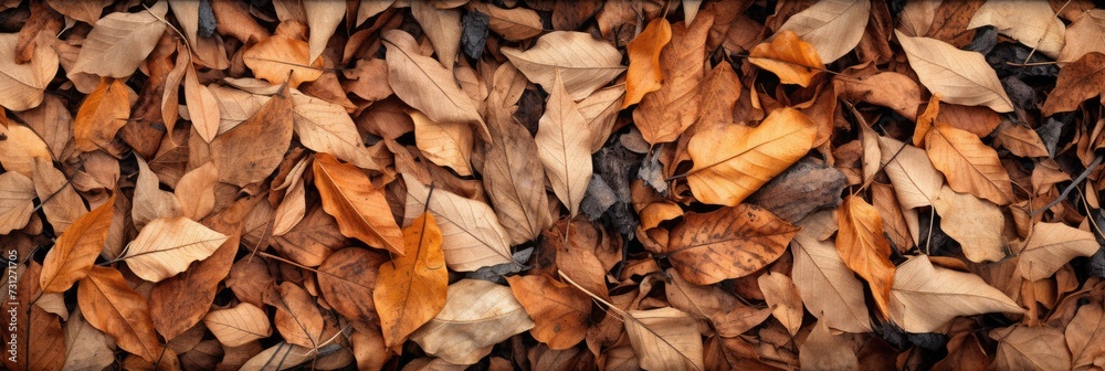 Dry leaves and twigs are scattered around on the ground, large scale, top view, detailed texture. Dry leaves and twigs are scattered around on the ground, large scale, top view, detailed texture.
