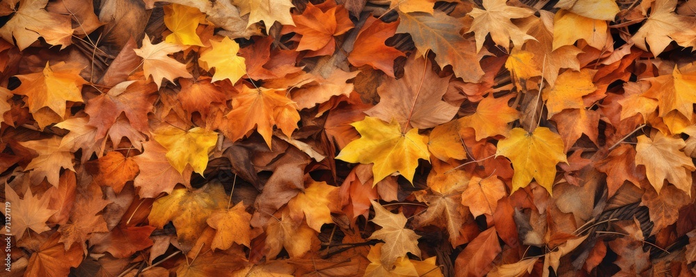 Colorful leaves are scattered around on the ground, large scale, top view, detailed texture. Autumn wallpaper.