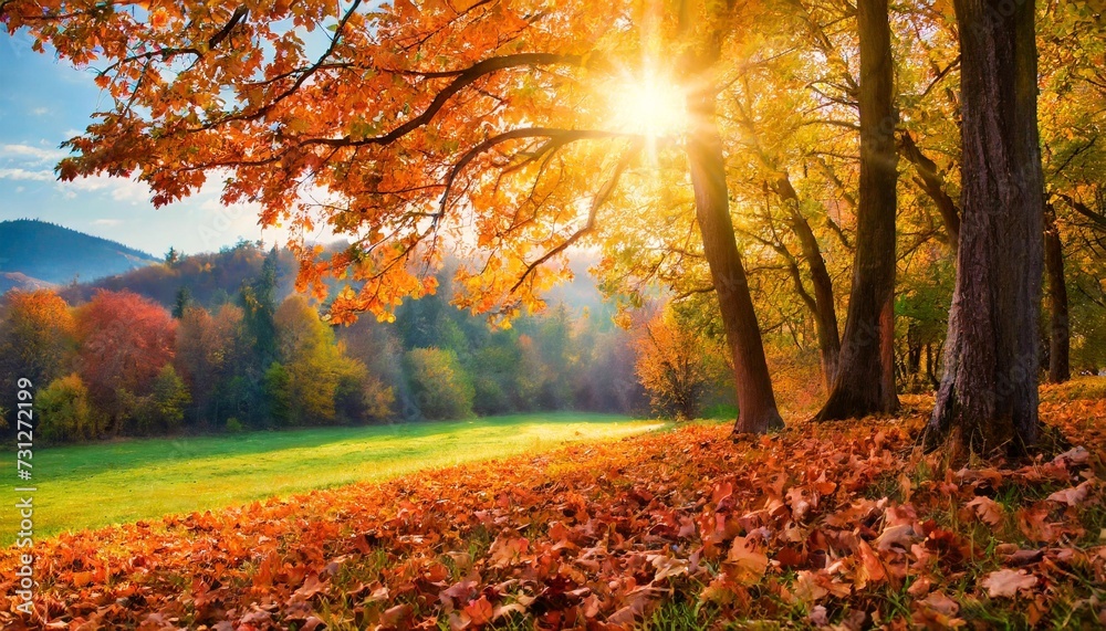 autumn landscape fall scene trees and leaves in sunlight rays