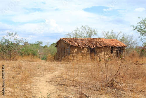  casa de taipa abandonada no sertão, interior da bahia 