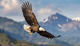bald eagle in flight natural environment