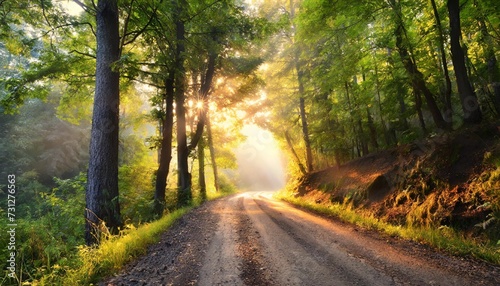 rural road through the forest at sunrise © Emanuel