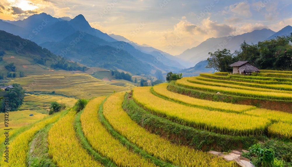 ripe rice fields in laos cai vietnam