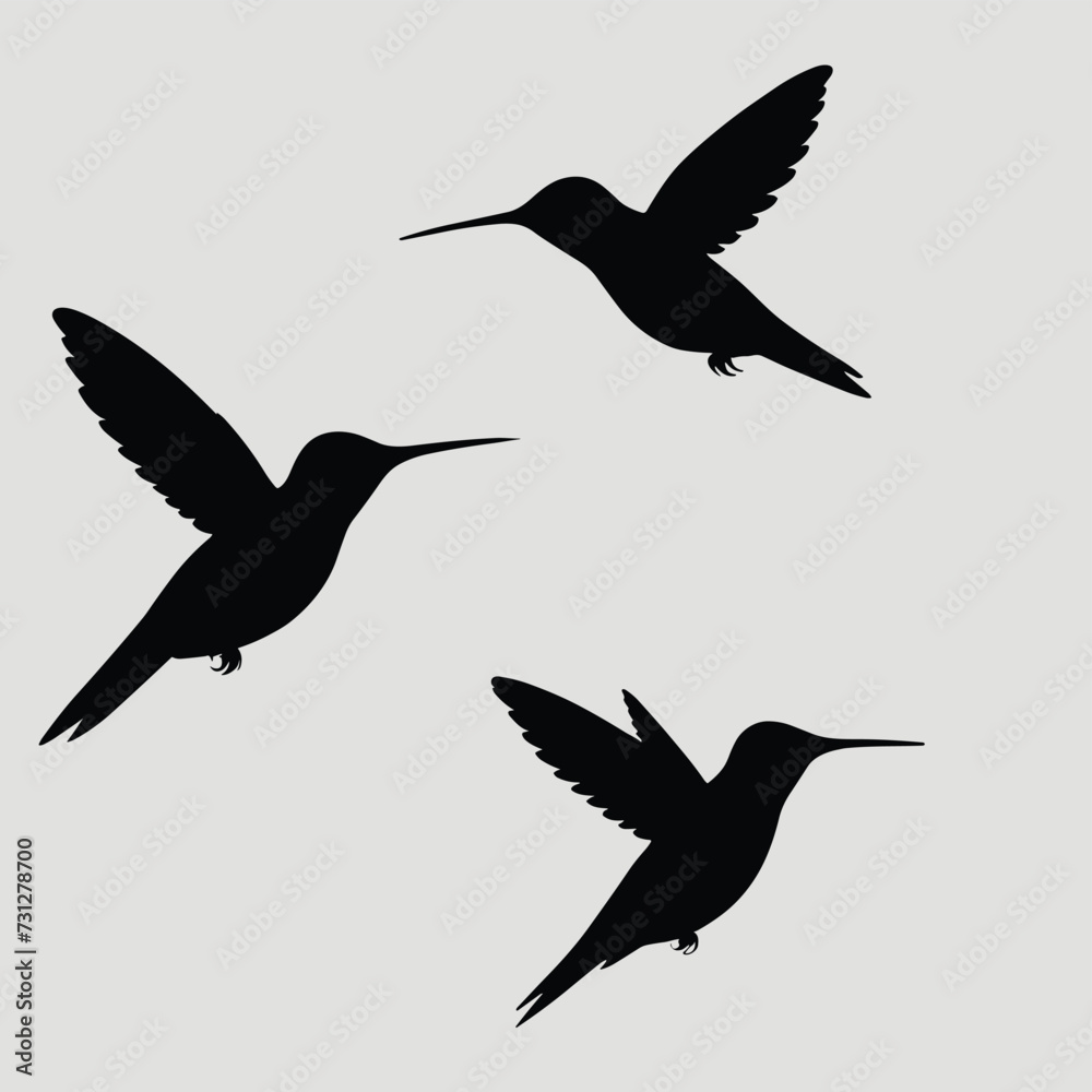 Silhouettes of three hummingbirds in flight against a light background, showcasing their graceful and delicate forms. Silhouettes of three hummingbirds in flight against a light background, showcasing their graceful and delicate forms.