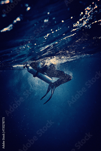 Obraz na płótnie The beauty of the underwater world - scuba diving in the Red Sea, Egypt w salonie