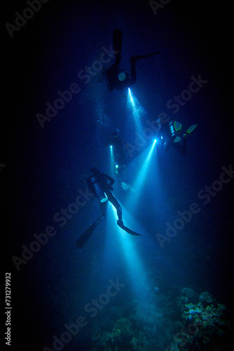 The beauty of the underwater world - a mysterious sight during a night dive with flashlights - scuba diving in the Red Sea, Egypt