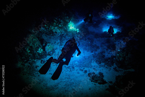 The beauty of the underwater world - a mysterious sight during a night dive with flashlights - scuba diving in the Red Sea, Egypt