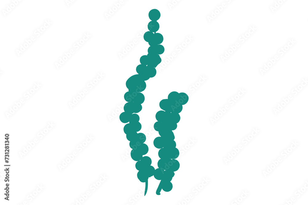 Coral, seaweed, coral, seaweed, sea life, ocean life, coral, hawaii, coral reef, ocean, coral cut file, ocean animals, coral clipart, corals, kelp, under the sea plants, sea life, ocean life, sea weed Coral, seaweed, coral, seaweed, sea life, ocean life, coral, hawaii, coral reef, ocean, coral cut file, ocean animals, coral clipart, corals, kelp, under the sea plants, sea life, ocean life, sea weed