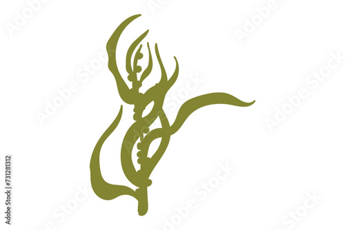 Coral, seaweed, coral, seaweed, sea life, ocean life, coral, hawaii, coral reef, ocean, coral cut file, ocean animals, coral clipart, corals, kelp, under the sea plants, sea life, ocean life, sea weed