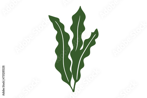 Coral, seaweed, coral, seaweed, sea life, ocean life, coral, hawaii, coral reef, ocean, coral cut file, ocean animals, coral clipart, corals, kelp, under the sea plants, sea life, ocean life, sea weed