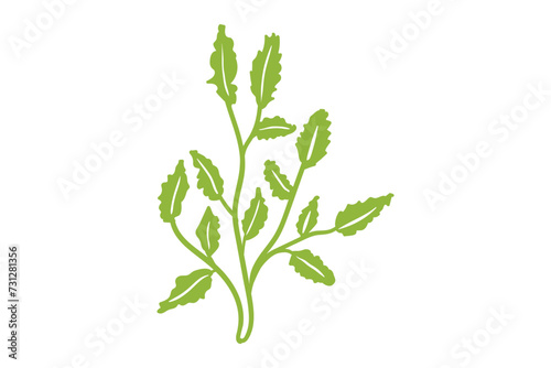 Coral, seaweed, coral, seaweed, sea life, ocean life, coral, hawaii, coral reef, ocean, coral cut file, ocean animals, coral clipart, corals, kelp, under the sea plants, sea life, ocean life, sea weed