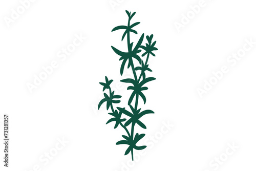 Coral, seaweed, coral, seaweed, sea life, ocean life, coral, hawaii, coral reef, ocean, coral cut file, ocean animals, coral clipart, corals, kelp, under the sea plants, sea life, ocean life, sea weed