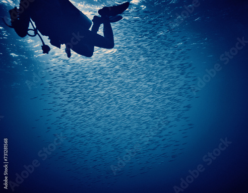 The beauty of the underwater world - scuba diver at depth - scuba diving in the Red Sea, Egypt © udmurd