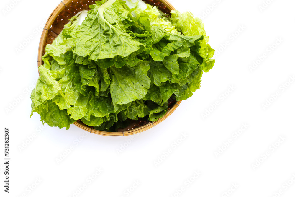 Small Chinese cabbage, Tokyo bekana cabbage