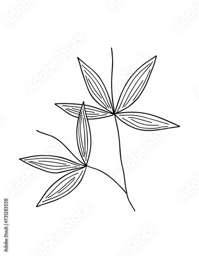 Bamboo leaves branch simple linear style vector outline illustration, traditional japanese plant, oriental decorative ornament for design, greeting card, template, banner, zen concept