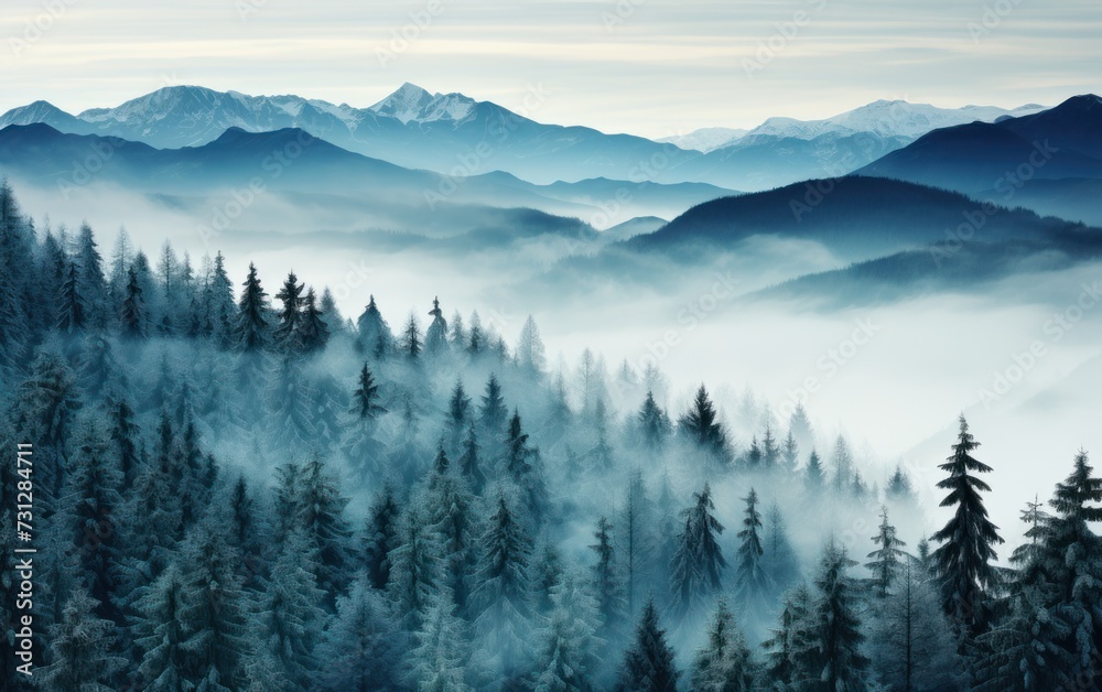 Snowy forest with fog and mountain peaks in the distance