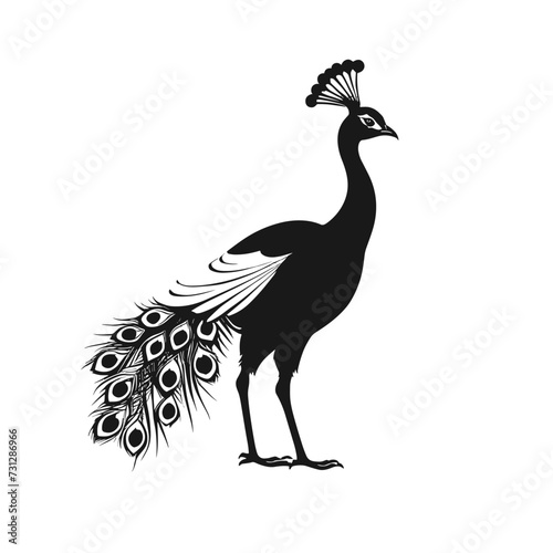 Silhouette of a majestic peacock showcasing its elegant feathers against a white background.