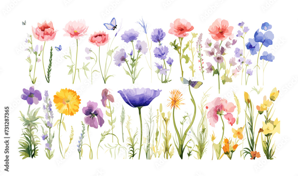 Watercolor floral illustration set ??