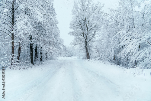 Winter landscape with snow-covered trees and a road