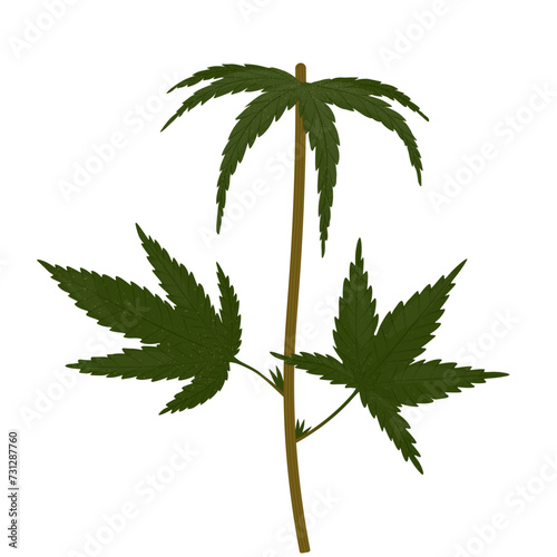  leaves. Vector stock illustration. isolated on a white background.