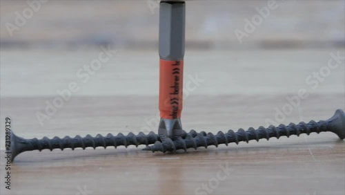 A phillips screwdriver, a bit, rotates and moves the roofing screws. worm gear photo