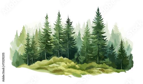 Watercolor Forest tree illustration. Mountain landscape. Woodland pine trees. Green Forest.