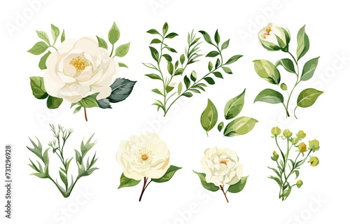 Set watercolor floral elements of peony, rose, collection garden white flowers, green leaves, branches, Botanic illustration isolated on white background