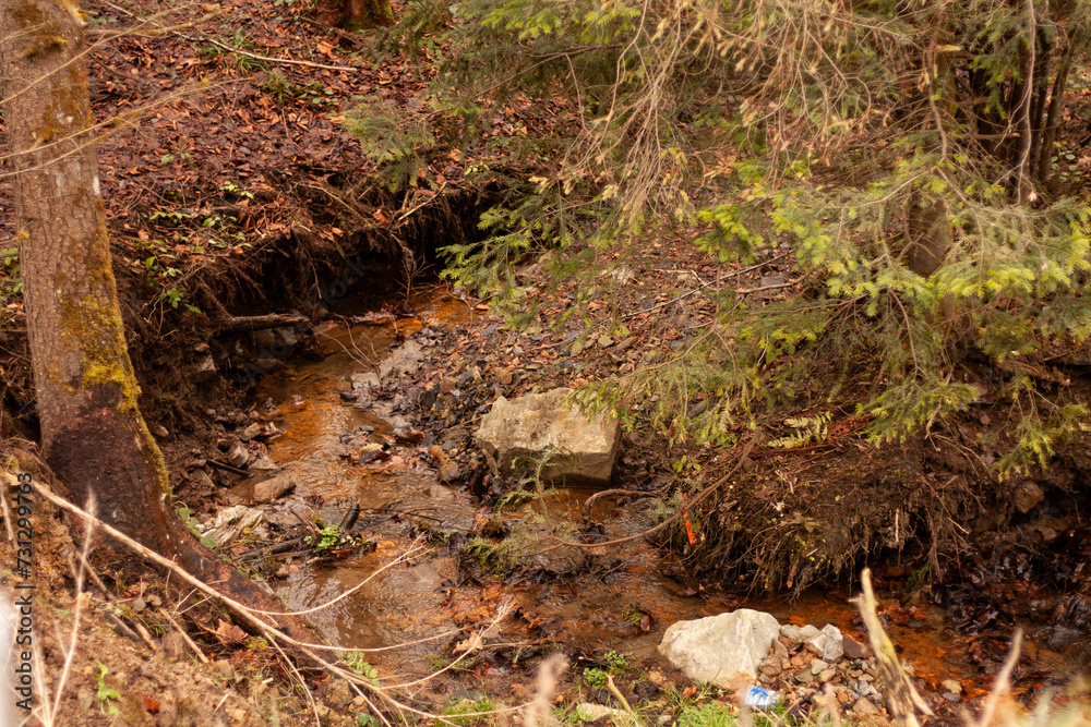 Fototapeta premium stream of water among the ground and trees in a mountainous area